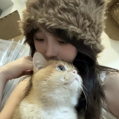 政界疑云